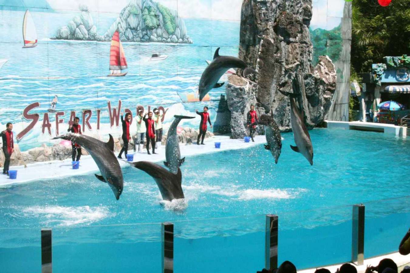 Các show biểu diễn ở Marine Park 