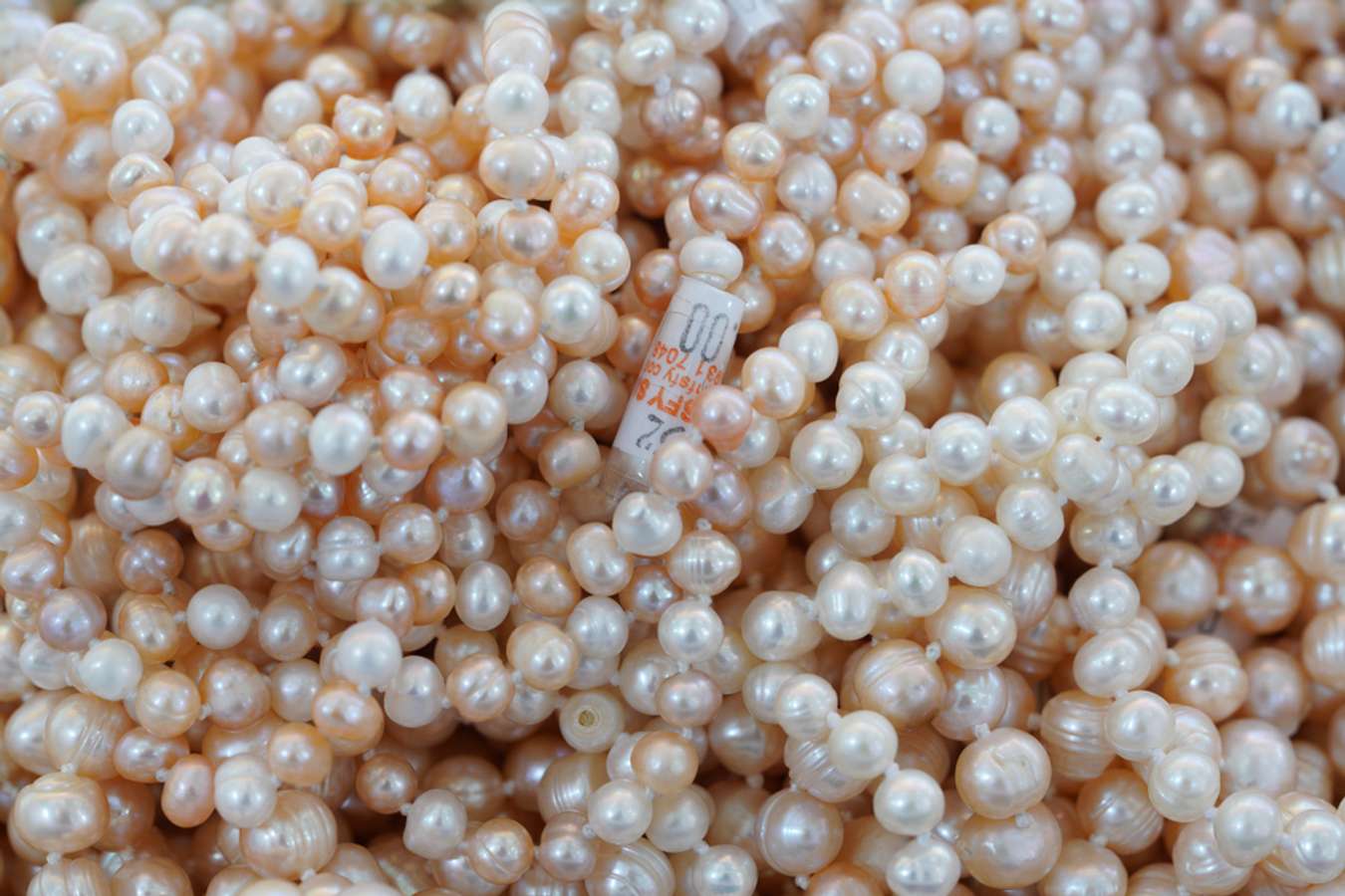 Sabah Pearls