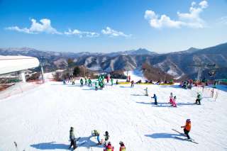 Jadwal Musim Salju di Korea 2023-2024 & Inspirasi Liburan Seru, Xperience Team