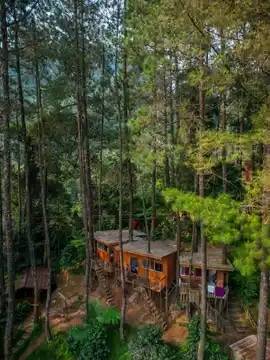 KAMPUNG RIMBA By ANRHA