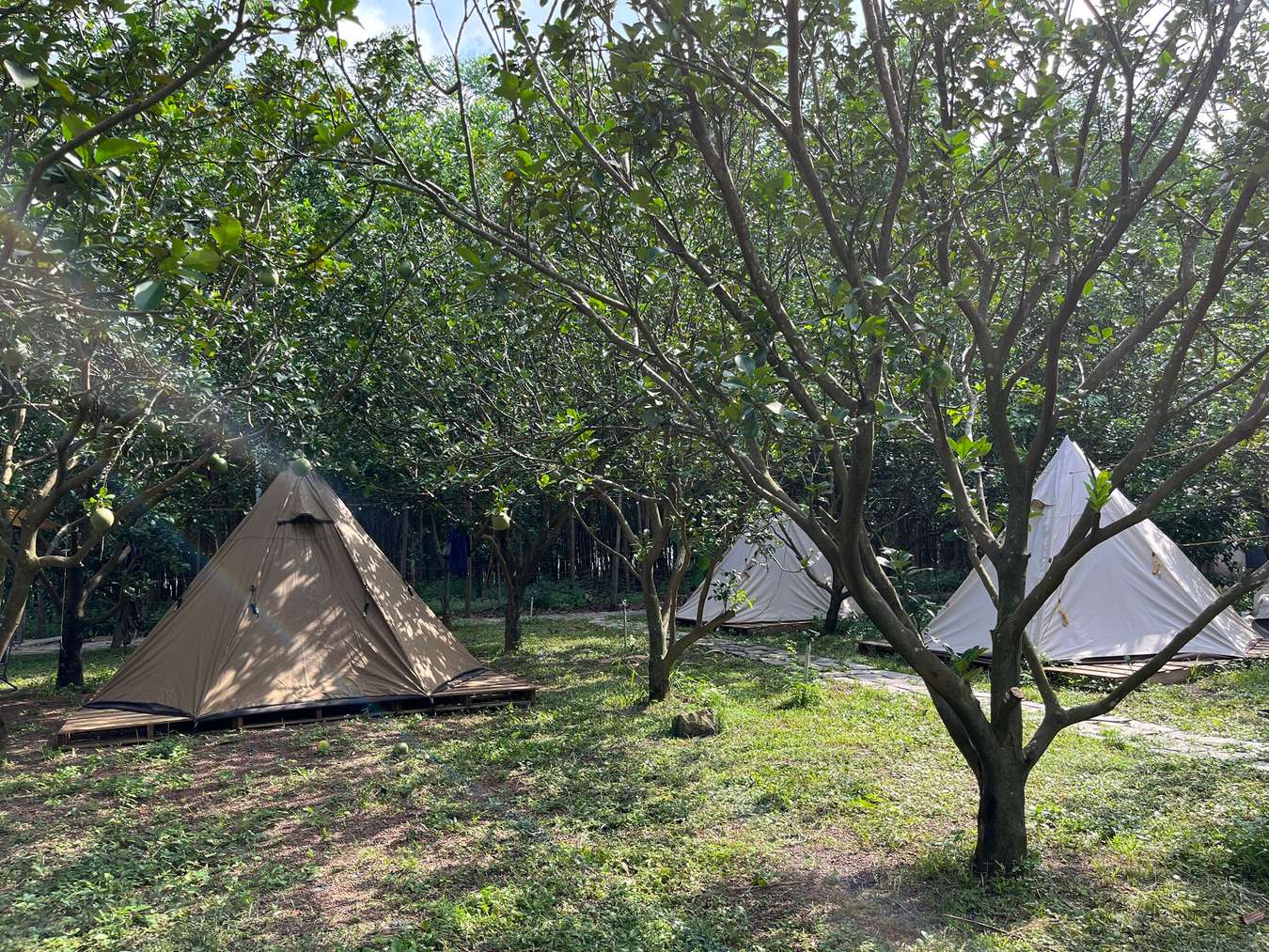 camping hồ trị an