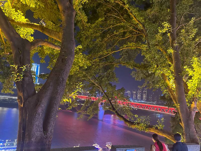 hồng nhai động