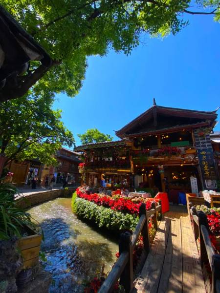 Hoa trang trí nhà hàng và tiếng suối chảy róc rách.