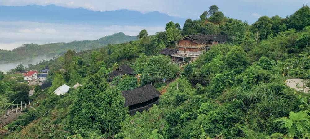 Khung cảnh Suối Giàng