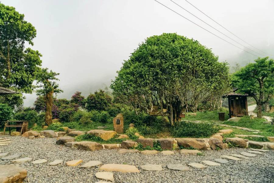 Suối Giàng