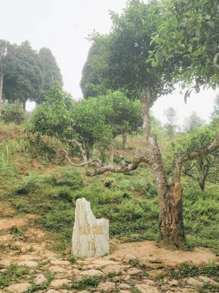 Suối Giàng