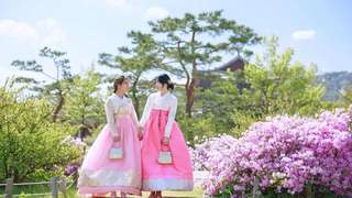 Rekomendasi Tempat Sewa Hanbok di Seoul, Harga Mulai Rp100 Ribuan, Xperience Team