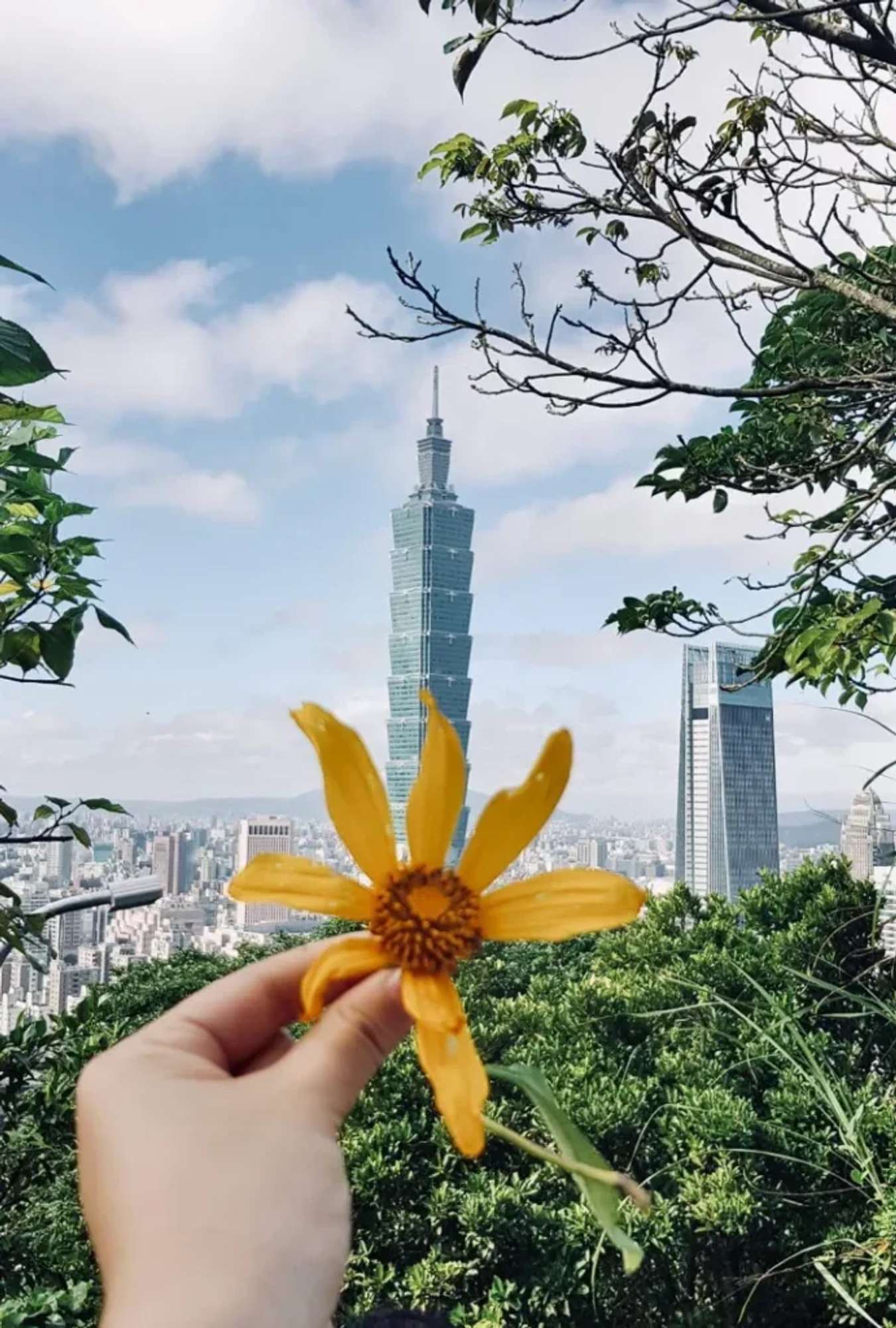 Trên đường leo Núi Voi bạn có thể thấy rõ Taipei 101 