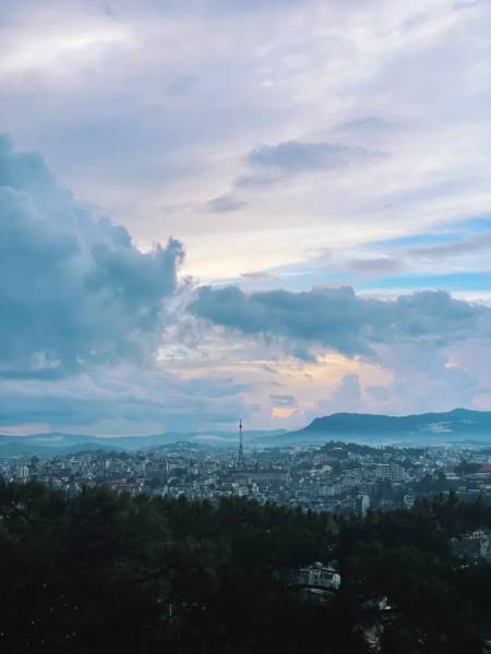 Thêm cả góc view có rừng thông xanh - Địa điểm check in Đà Lạt miễn phí
