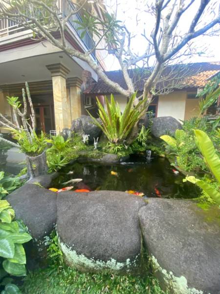 Jepun Bali Ubud Homestay