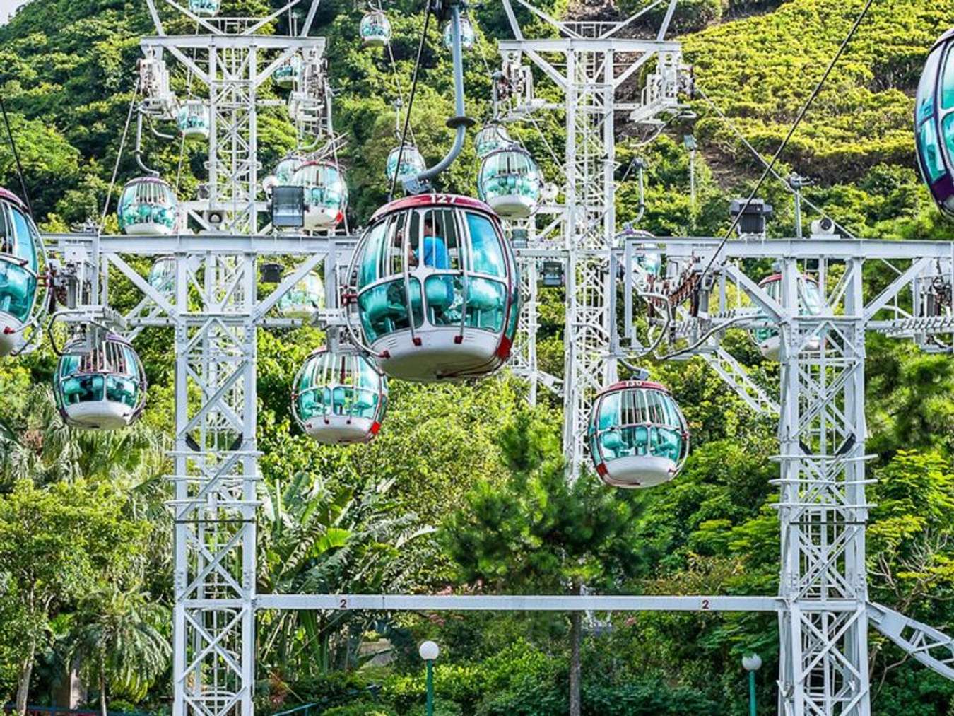 Ocean Park Hong Kong