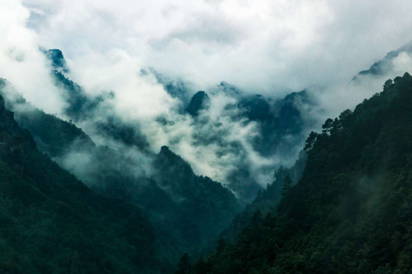 cang-son-higotravel
