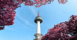 Discover the Home of K-pop: Check out the Top Activities to Enjoy During Your Visit to South Korea, Traveloka Team