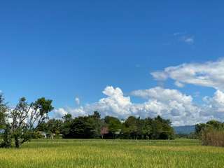 8 Wisata Healing Terbaik Taman Bunga Di Batu!, Mas Bellboy