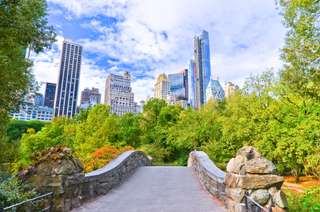 8 Things to Do Near Central Park New York City, Traveloka Team