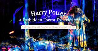 Forbidden Forest ที่เที่ยวใหม่สิงคโปร์ ที่แฟนๆแฮร์รี่ พอตเตอร์พลาดไม่ได้!, Traveloka TH