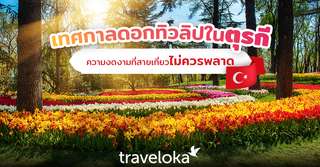 เทศกาลดอกทิวลิปในตุรกี ความงดงามที่สายเที่ยวไม่ควรพลาด, Traveloka TH