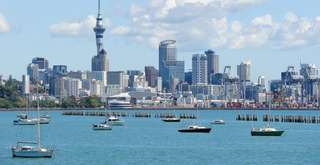 Discover Auckland's Amazing Natural Wonders and Fall in Love with the Environment!