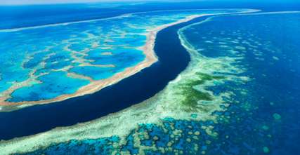 8 Best Great Barrier Reef Tours in Australia Worth Trying