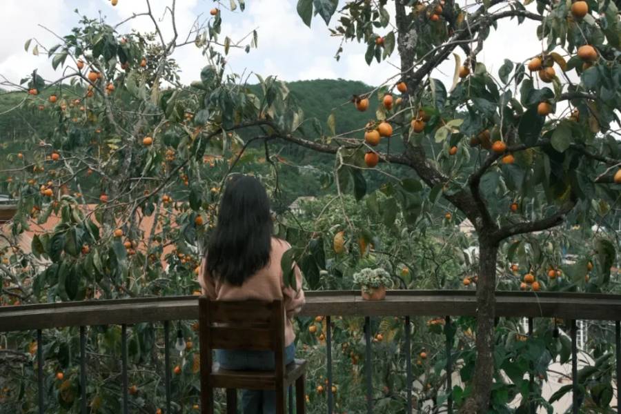 Nhâm nhi một tách trà dưới những tán hồng, phía trước là view núi đồi xanh mát
