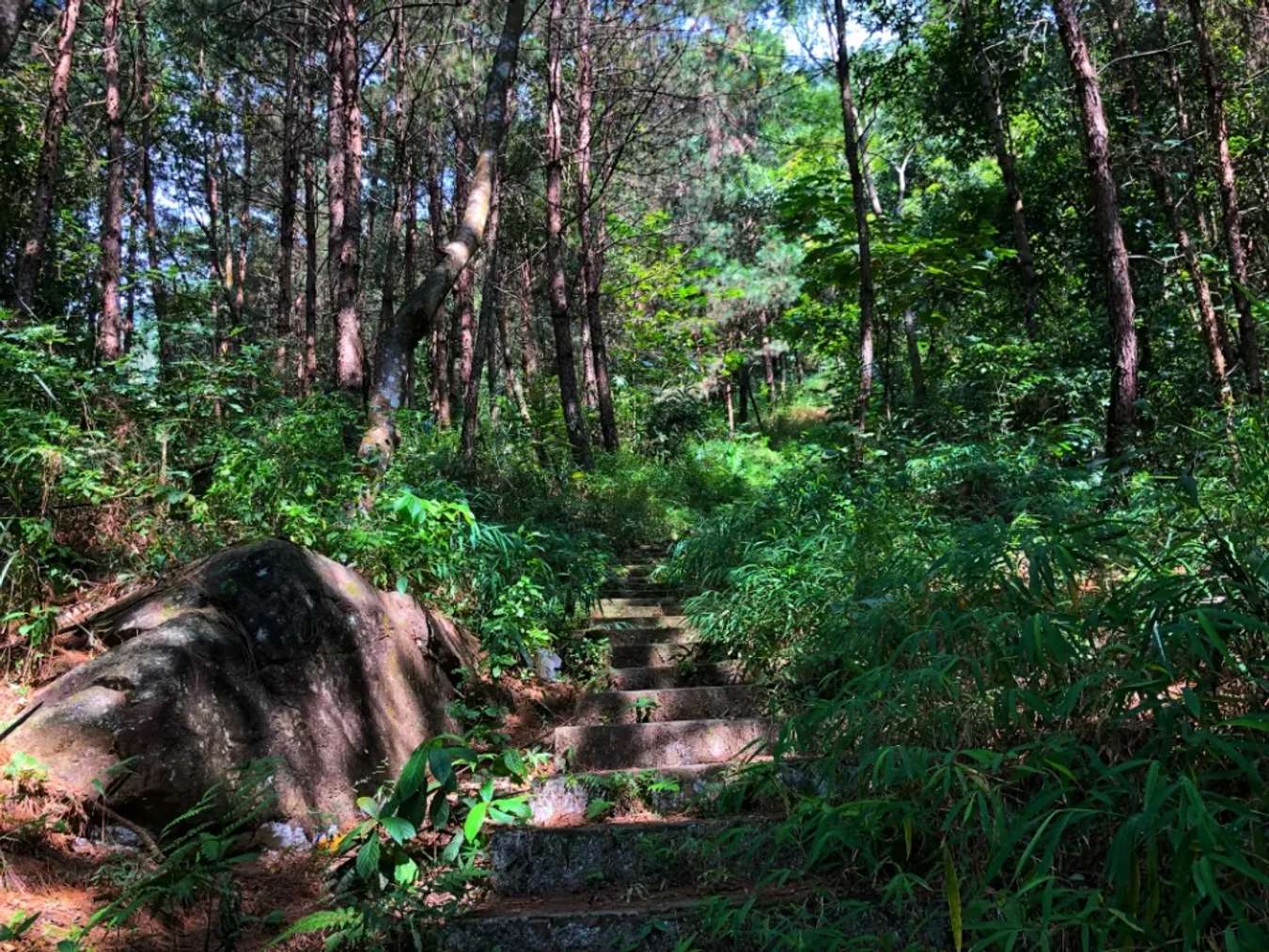 The way up to Tac Tinh waterfall