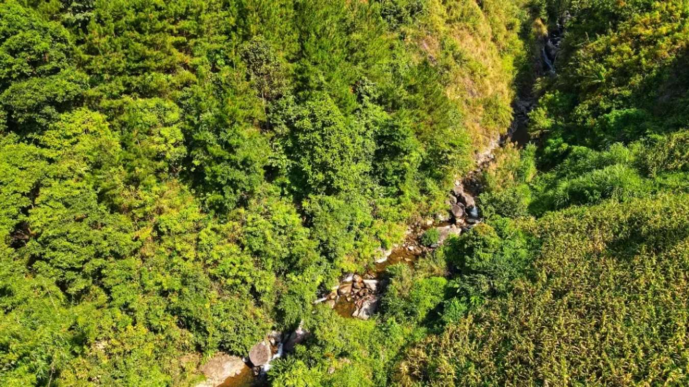 The flow of Tac Tinh waterfall
