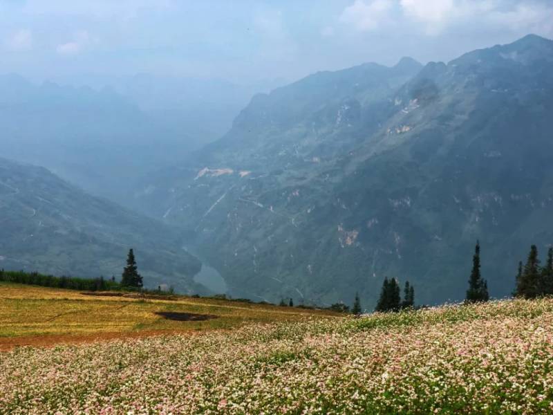 view thung lũng sông nhìn từ trên thảo nguyên Suối Thầu xuống
