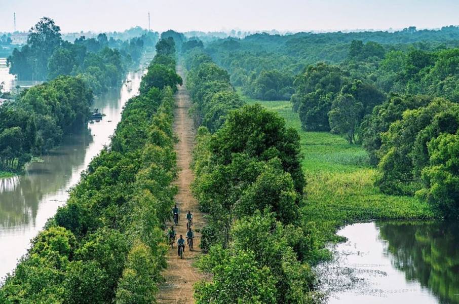 rừng tràm của khu du lịch cánh đồng bất tận