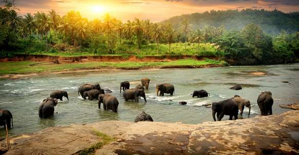10 Unforgettable Things to Do in Sri Lanka - Traveloka