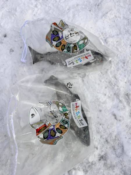 Cá hồi Pyeongchang 