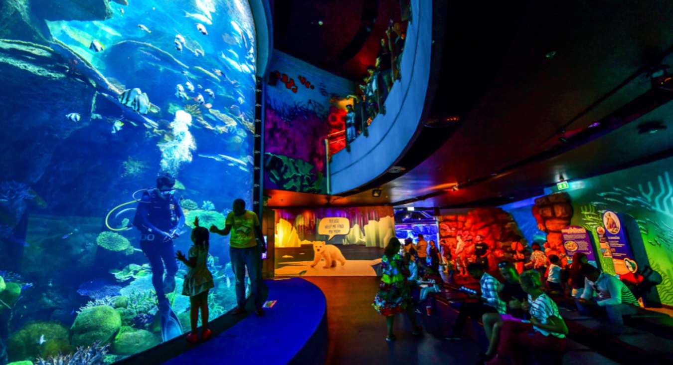 พิพิธภัณฑ์สัตว์น้ำ SEA LIFE Bangkok Ocean World