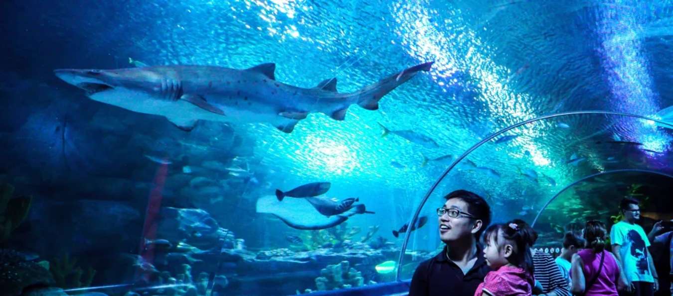 aquaria KLCC