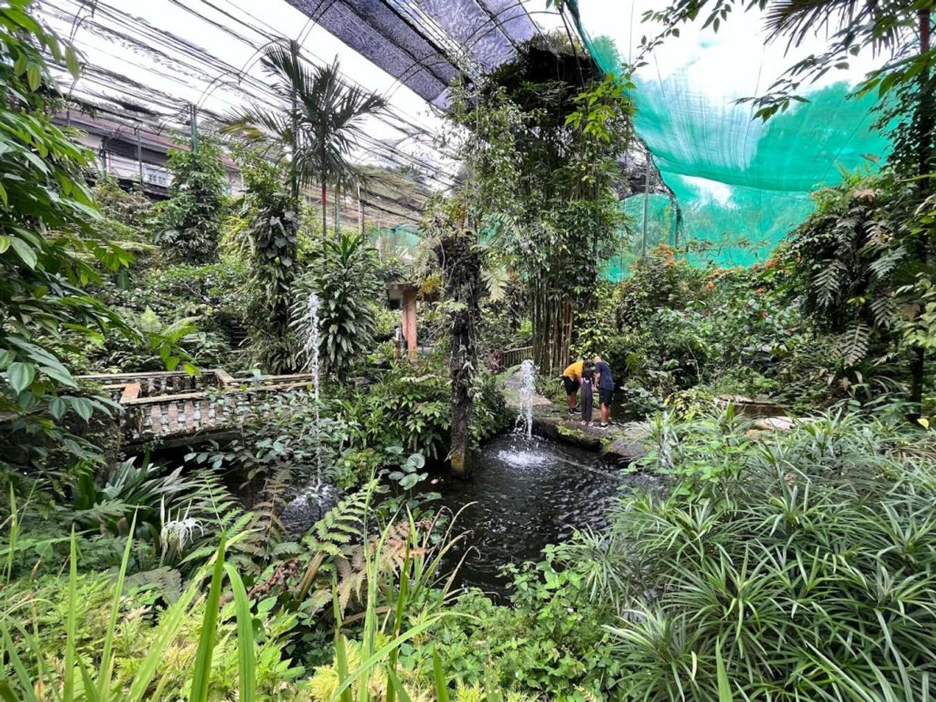 Butterfly Park at Lake Gardens