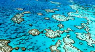 8 Best Great Barrier Reef Tours in Australia Worth Trying, Xperience Team