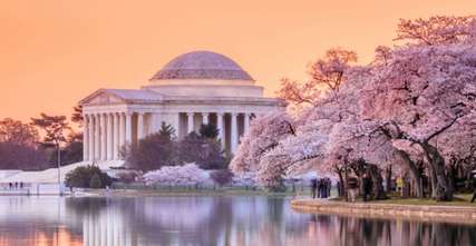 10 Best Hotels to See Cherry Blossom Festival in DC