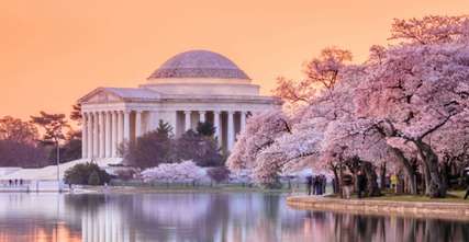 10 Best Hotels to See Cherry Blossom Festival in DC, Traveloka Team