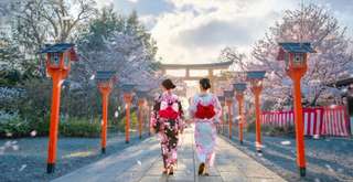 When is Sakura Season in Japan? The Best Time to Visit Japan to see cherry blossoms, Alex Keshen
