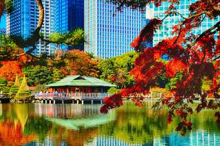 7 Wisata Shinagawa Jepang Terbaik, Wajib Mampir dari Liburan di Tokyo!, Xperience Team