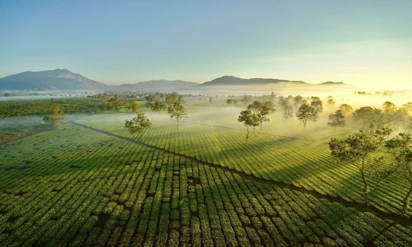 Biển Hồ Chè - Bức tranh xanh mát của núi rừng Tây Nguyên