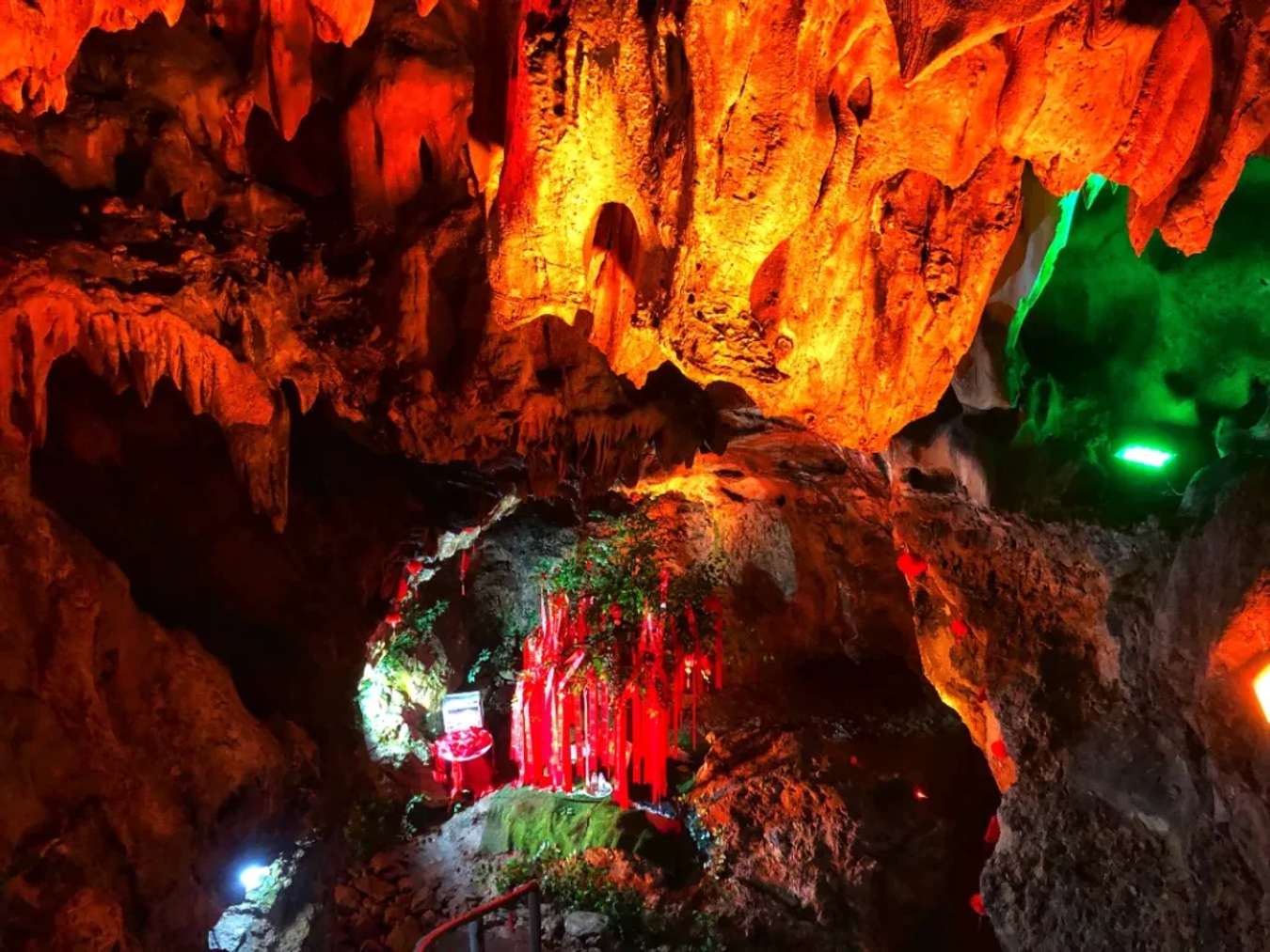 Magic tree inside the cave of Chua Tien - Aquarium; This place has water continuously leaking out from the stalactites above