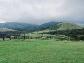 Đồng cỏ Qingtiangang Grassland – chốn bồng lai tại New Taipei City, Taiwan (Tân Bắc, Đài Loan), Sói