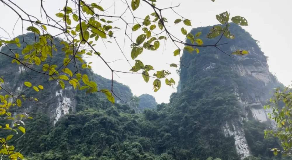 Phong cảnh thiên nhiên hữu tình và nên thơ