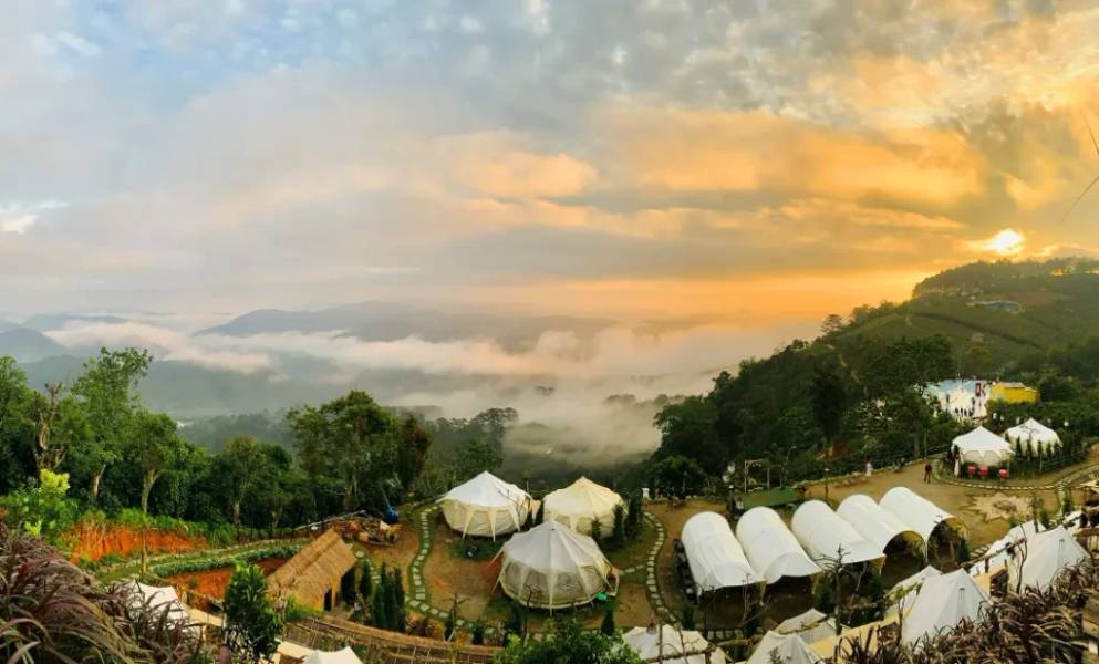 Ngay phía dưới cầu gỗ là khu camping với view nhìn ra thung lũng mây cực đẹp