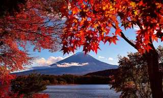 Things To Do Around Mount Fuji Japan Beyond the Peak, Xperience Team