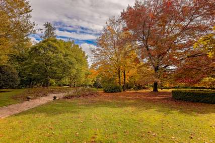 10 Best Places To See Autumn Leaves in Sydney