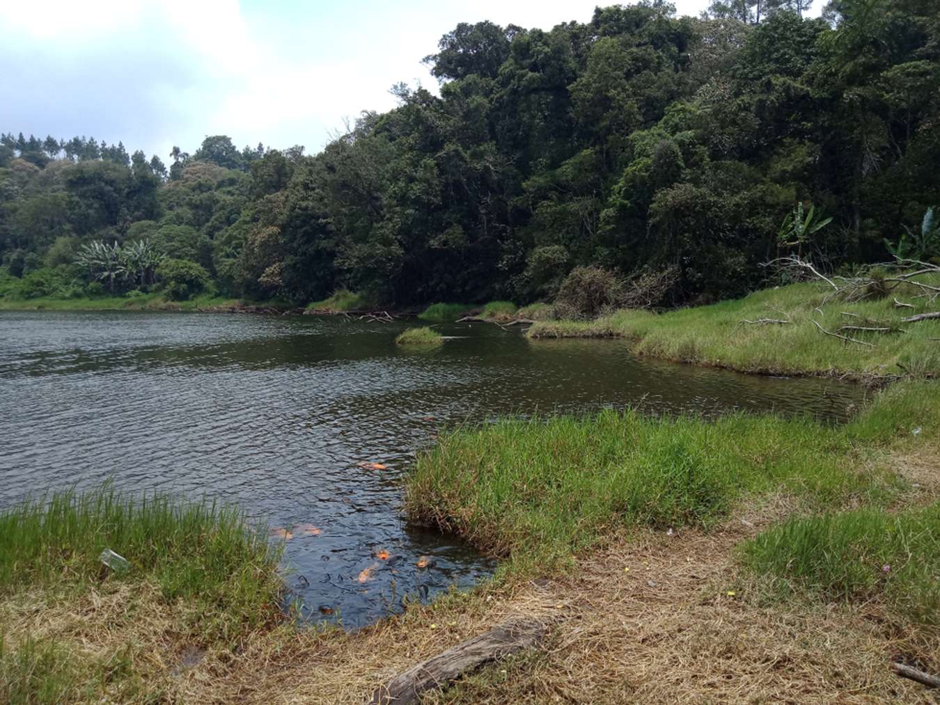 danau di jawa tengah 