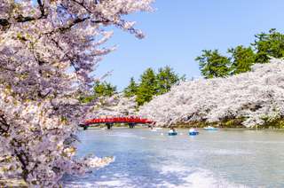 10 Tempat Wisata Aomori Jepang yang Unik untuk Liburan Seru, Xperience Team