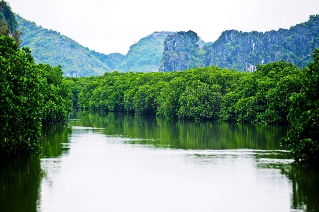 vịnh Nha Phu