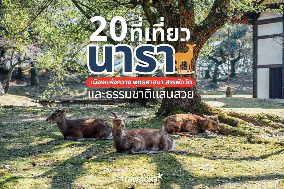 20 ที่เที่ยวนารา เมืองแห่งกวาง พุทธศาสนา สารพัดวัด และธรรมชาติแสนสวย, Traveloka TH