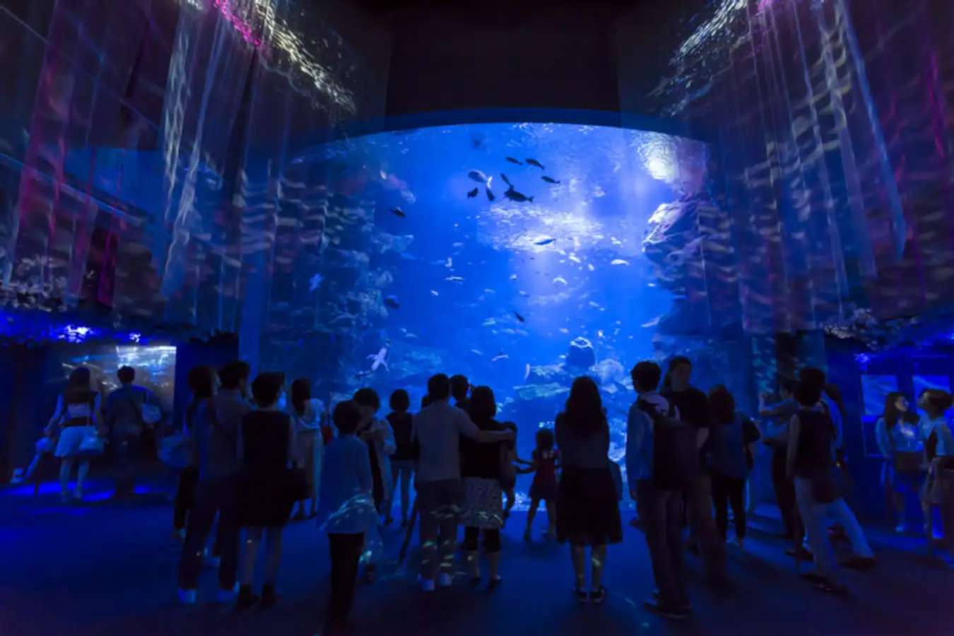 Kyoto Aquarium